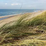 Babylon - Alkmaar Hotel