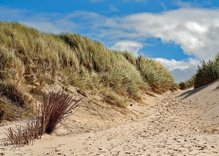 Hotel Babylon Heerhugowaard - Alkmaar 4*